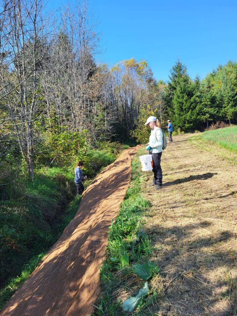 Mathilde éparpille des semences de plantes vivaces de bande riveraine afin de permettre au sol de se stabiliser après la croissance des végétaux.